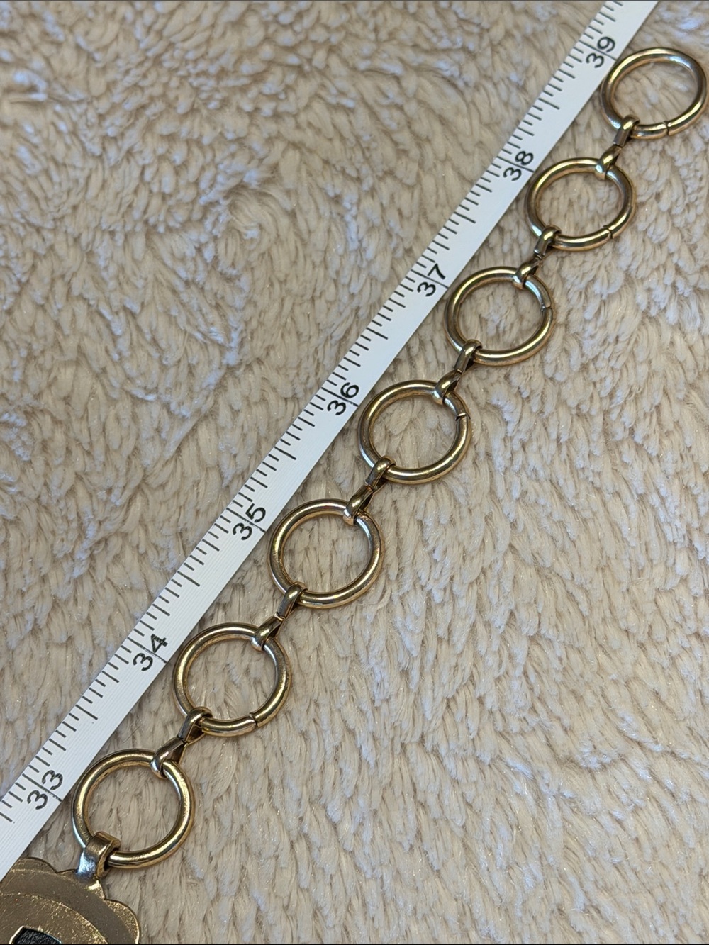 HAUTE HIPPIE Faux Fur Chain Belt - Picture 7 of 7